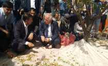 Urfa'da Badem Hasadına Başlandı