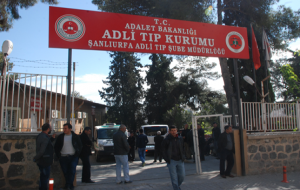 Urfa'da, bir kadın cinayeti daha