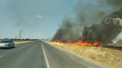 Urfa'da bitmeyen yangınlar