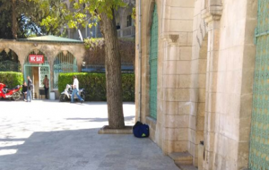 Urfa'da bomba paniği