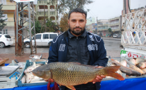 Urfa'da büyük balıklar tezgahlarda