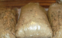 Urfa'da çanta içersinde TNT ele geçirildi