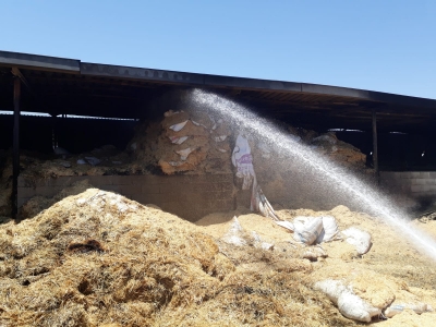 Urfa'da Çiftlikte Yangın Çıktı!