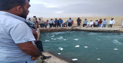 Urfa'da DSİ Sulama Kanalına Düşen Çocuk Aranıyor