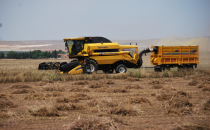 Urfa'da hasat başladı
