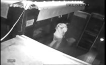 Urfa'da hırsızlık saniye saniye görüntülendi