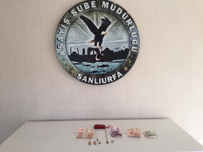 Urfa''da Hırsızlık Zanlıları Tutuklandı