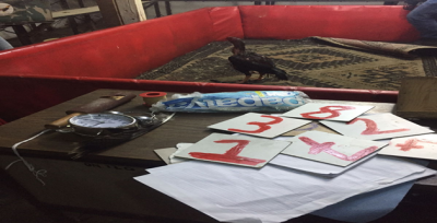 Urfa'da Horoz Dövüşçülerine Operasyon