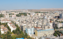 Urfa'da ilaçlama yapılmıyor mu!