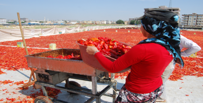 Urfa'da İSOT sezonu başladı