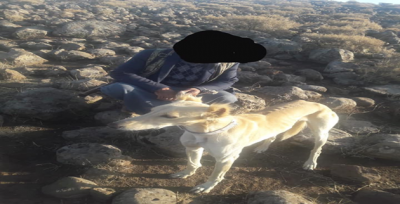 Urfa'da Kaçak Avcılara Operasyon Düzenlendi