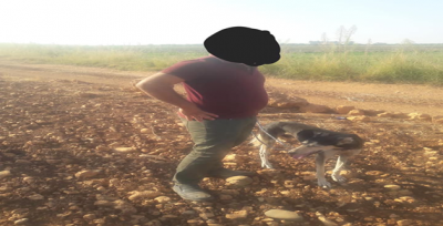 Urfa'da 'kaçak avcılara' ceza