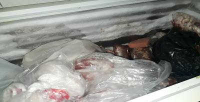 Urfa'da kaçak et operasyonu