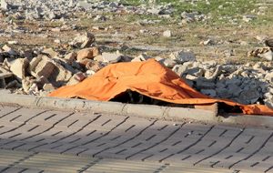 Urfa'da kadın cesedi bulundu