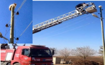 Urfa'da kedi kurtarma operasyonu