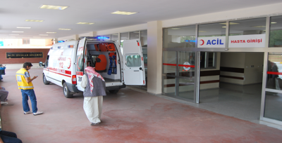 Urfa'da Küçük Çocuğu Yılan Isırdı