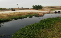 Urfa'da mahallenin atık su isyanı