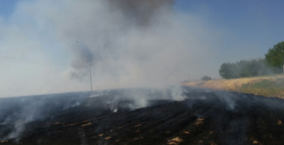 Urfa'da önlenemeyen anız yangınları
