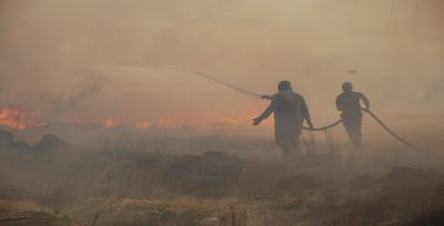 Urfa'da önlenemeyen anız yangınları