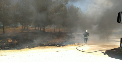 Urfa'da orman yangını!