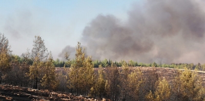 Urfa'da Ormanlık alanda yangın