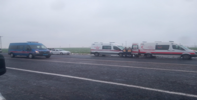 Urfa'da otomobil tarlaya uçtu