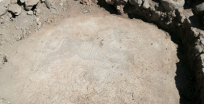  Urfa'da Roma Dönemine Ait Mozaikler Ele Geçirildi