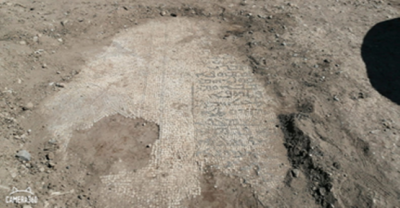  Urfa'da Roma Dönemine Ait Mozaikler Ele Geçirildi