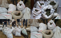 Urfa'da saman çuvallarına zulalanmış esrar yakalandı