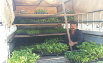 Urfa'da Şitil satışı başladı