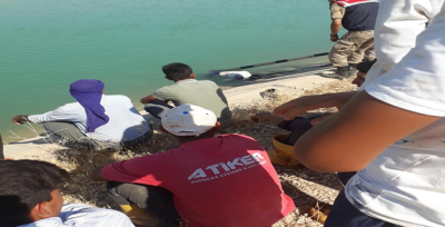 Urfa'da Sulama Kanalında Kadın Cesedi Bulundu