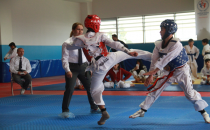 Urfa'da Taekwondo Müsabakaları Sona Erdi