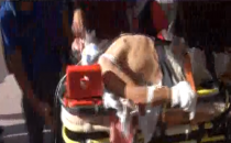 Urfa'da trafik kazası, 1 yaralı