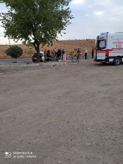 Urfa'da Trafik Kazası, 2 ölü