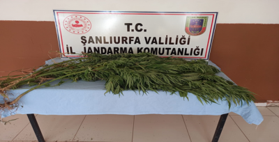 Urfa'da Uyuşturucu Operasyonu