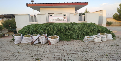 Urfa'da uyuşturucu operasyonu, 3 tutuklama