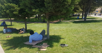 Urfa'da Vatandaşlar Parklarda Serinliyor