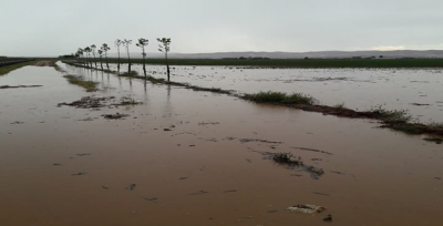 Urfa'da Yağmur Etkili Oldu