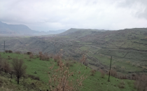 Urfa'da yayla manzarası