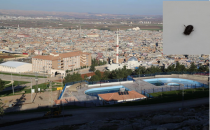 Urfa'da yetersiz ilaçlama