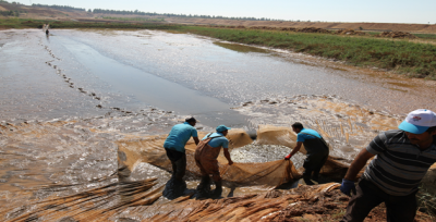Urfa'daki Tesiste ''Üretim Kapasitesi 20 Milyon Yavru Balık''