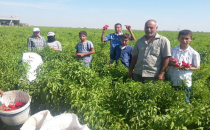 Urfalı üreticiler borsanın kurulmasını istiyor