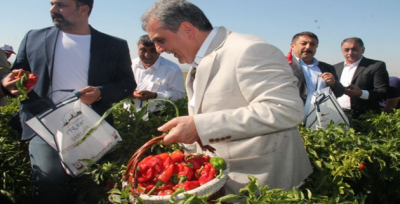 URFEST iptal edildi!