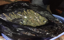 Uyuşturucu satıcılarına yönelik operasyon