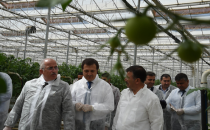 Vali Tuna Jeotermal Seralarda İncelemelerde Bulundu