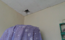 Vatandaşlar sivrisinekle boğuşuyor