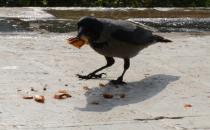 Vatandaşlar yemeklerini paylaşıyor