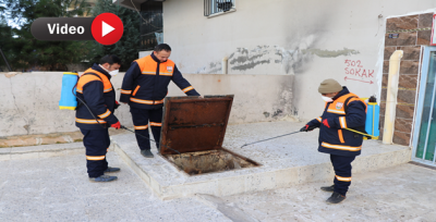  Vektörle Mücadele Çalışmaları Hız Kazandı