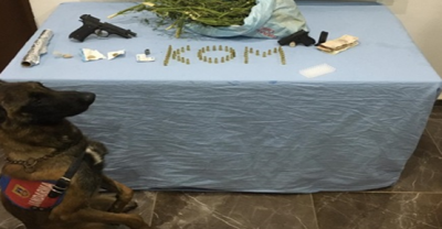 Viranşehir'de uyuşturucu operasyonu