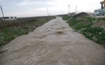 Yağmur Suriyeli çiftçileri Sevindirdi